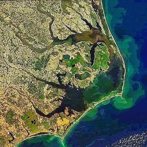 Meet your Posher, Alan